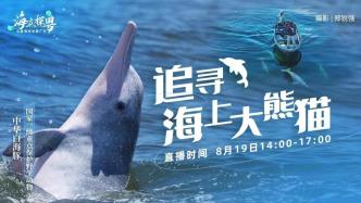 直播录像丨追寻“海上大熊猫”，与科学家一起出海科考